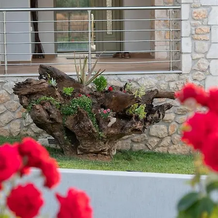 Luxury Majore * Svoronata